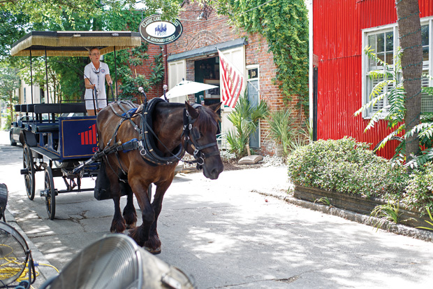 Palmetto horse carriage store tours