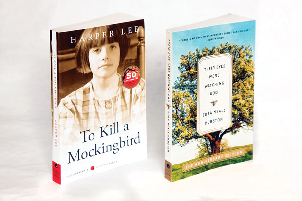 To Kill a Mockingbird book