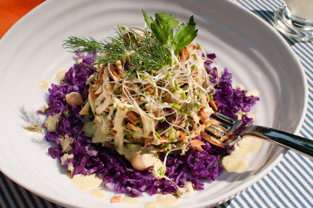 Garden Slaw Recipe